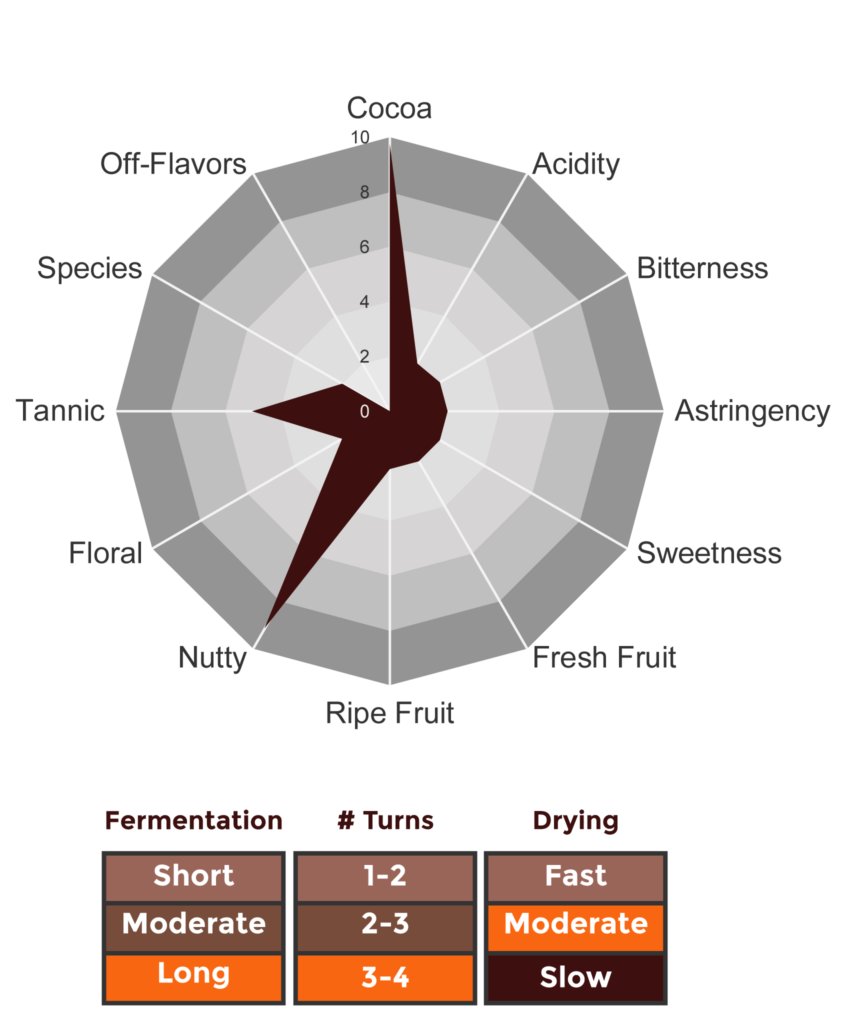 Cocoa Flavors Profile 