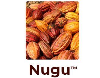 Nugu-Flavors-hover-Ingemann