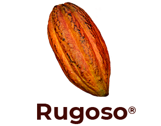Rugoso-Flavors-hover-Ingemann