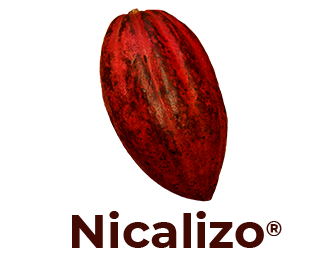 Nicalizo-Flavors-hover-Ingemann fine cocoa
