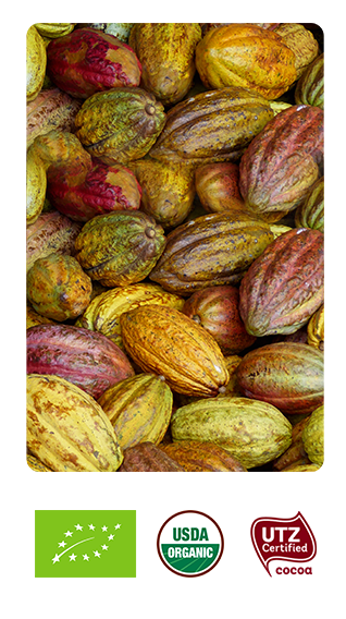 Opayo-flavor-cocoa-ingemann
